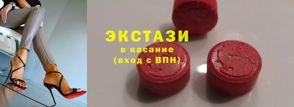 стаф Богданович